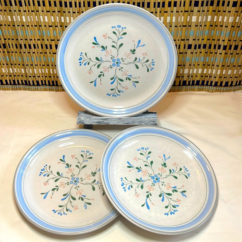 Fascino Stoneware Dinner Plates (3) Yamaka Made Hand Decorated Japan Circa 80's